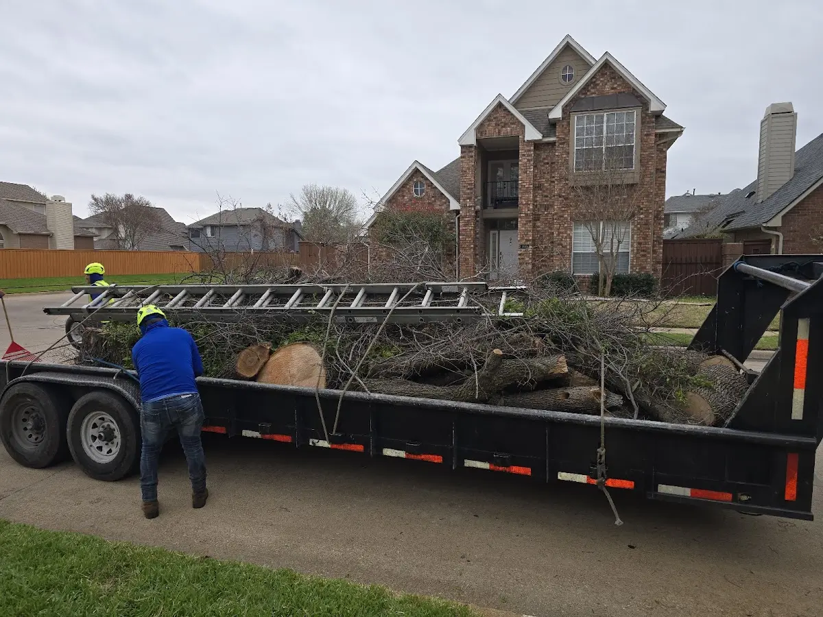 Expert Lot Clearing with proper safety equipment in Nettleton